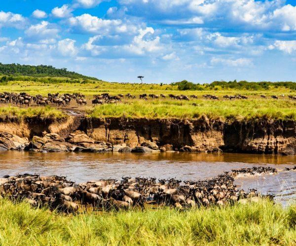 5 Days Masai Mara, Lake Naivasha & Nakuru Camping Safari
