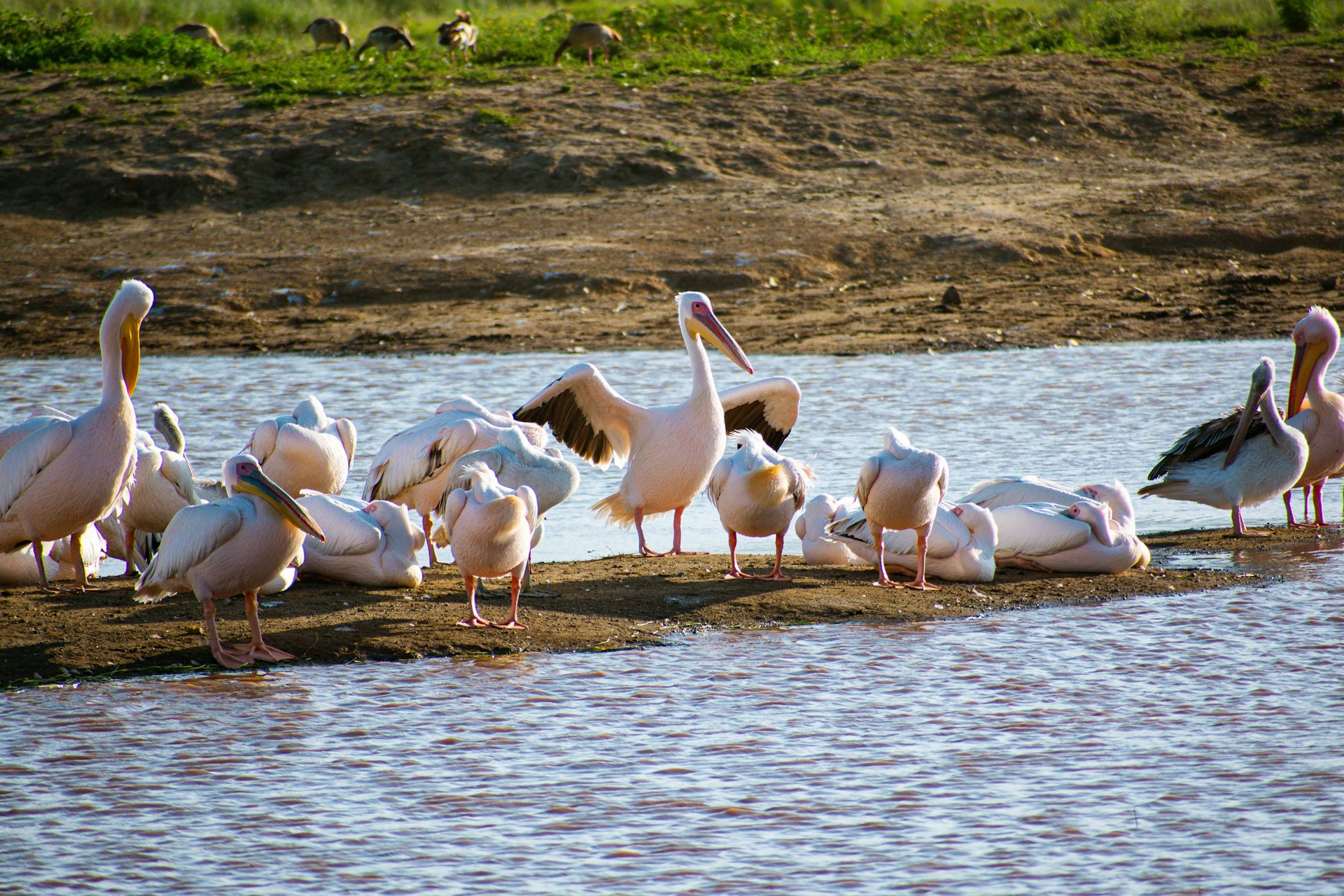 Lake Nakuru National Park